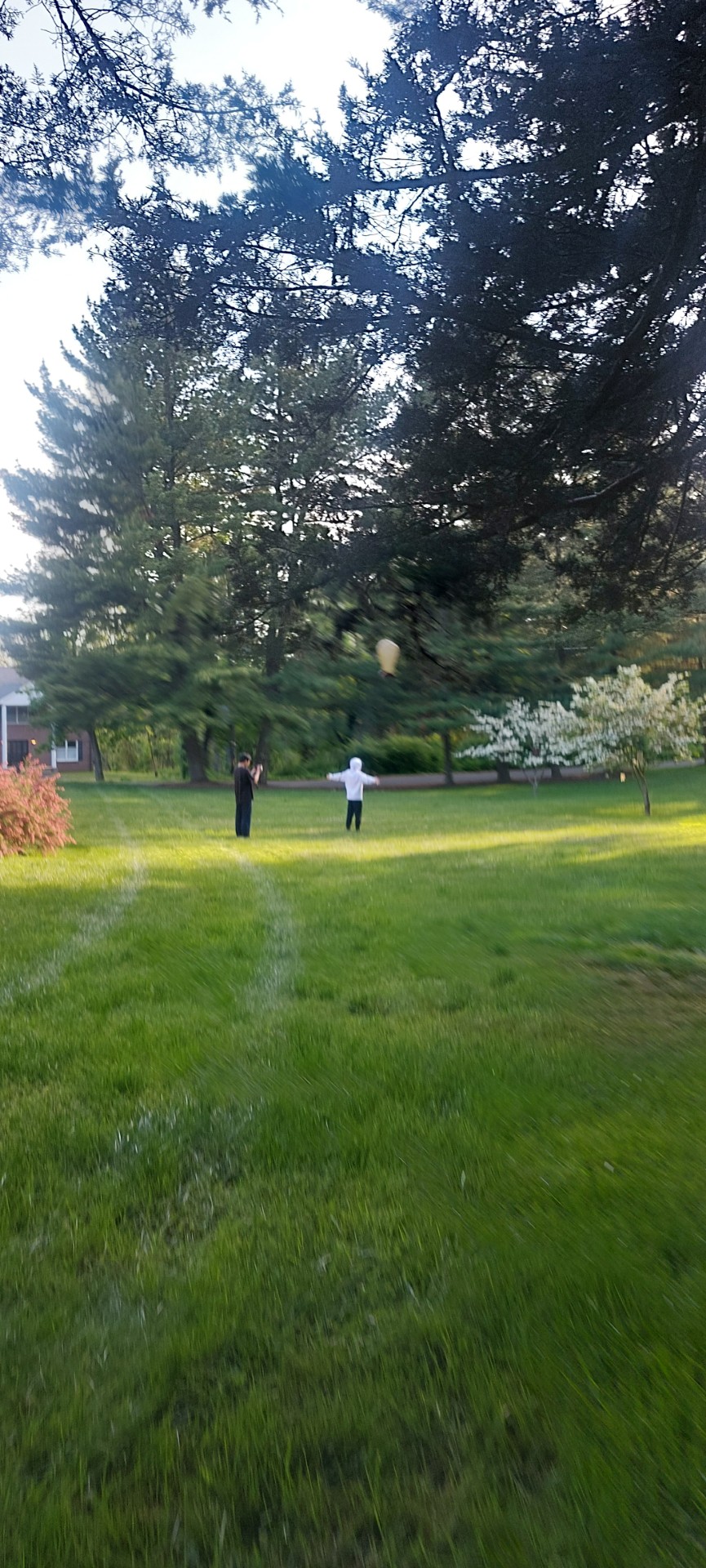 20250508-202319260-9596-0b863335f39a_Outdoor thumbnail_20240520_183951.jpg